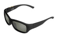 Color changing polarized sunglasses LHC